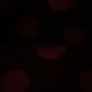 Meet your Posher, Camille